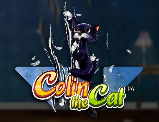 Colin the Cat